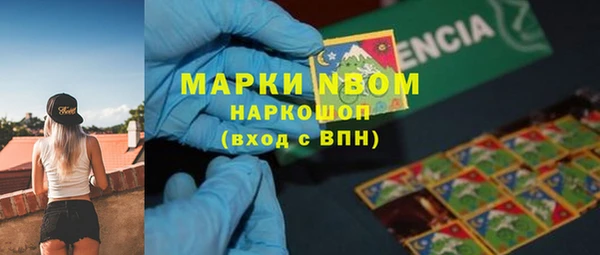 мяу мяу мука Аркадак