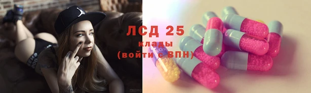 spice Арсеньев