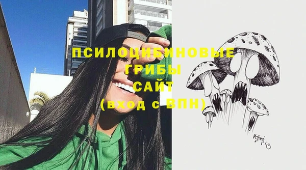 spice Арсеньев