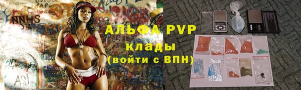 хмурый Алзамай