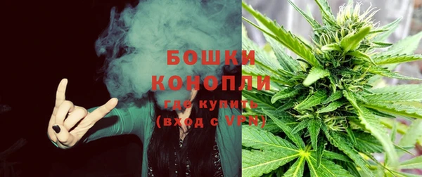 мяу мяу мука Аркадак