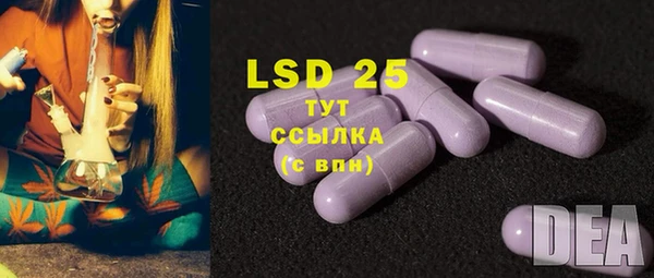 мяу мяу мука Аркадак